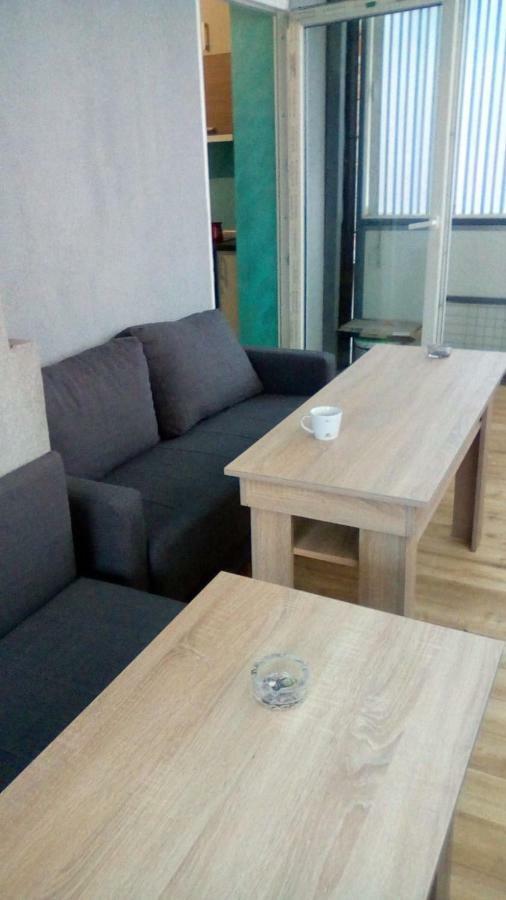 Apartmani Spasic Лесковац Экстерьер фото